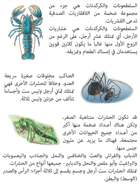 اللافقاريات في المفصليات مجموعه اكبر اكبر مجموعه