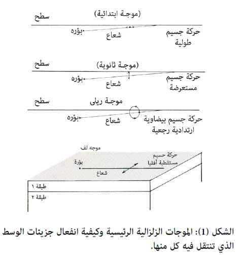 وأكبرها الأولية الزلزالية السطحية سعة وتدميرًا الثانوية حجمًا الموجات أبطأ الموجات هي «الداخلية» تكذب