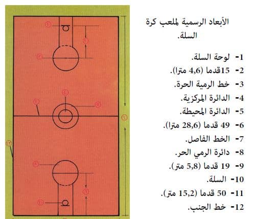 السلة كرة تقرير عن بحث عن