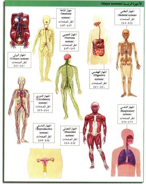 وظائف أجهزة جسم الإنسان Aspd