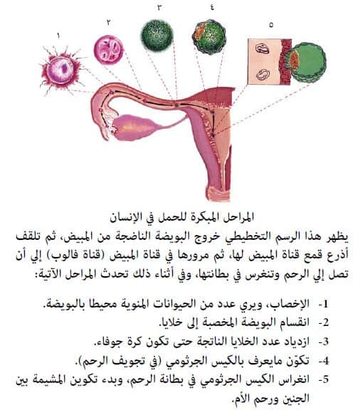 تشهد الاول وثاني