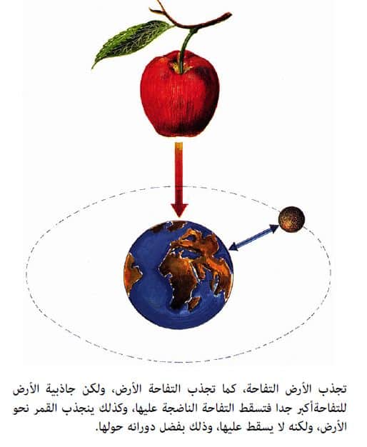 هذه الأرض العبارة باتجاه تمثل سقوط التفاحة حل سؤال