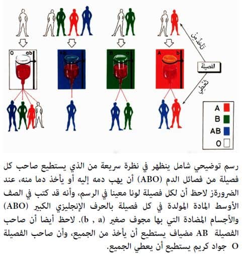 دم الانسان فصائل عدد لماذا تختلف