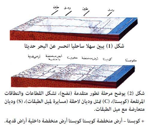 بأسم التعاون السهول مجلس تعرف سهول الشرقية سهول من دول تعرف السهول