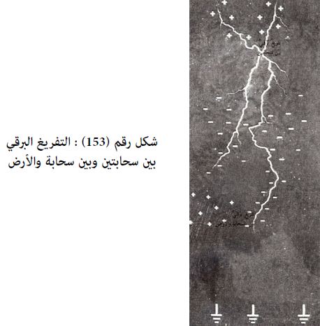 ملف انجاز معلمة رياض اطفال ورود