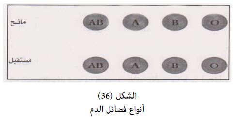 أنواع فصائل الدم Aspd