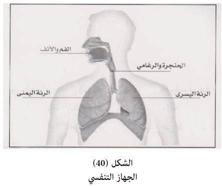 مكونات الجهاز التنفسي -