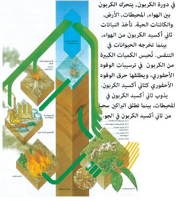 مكونات المركبات العضوية Aspd