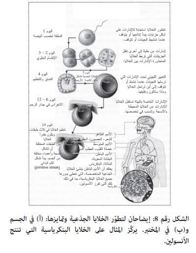 العمليات السريعة من تعد من