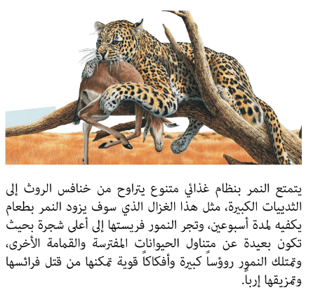 طرق تغذية الحيوانات