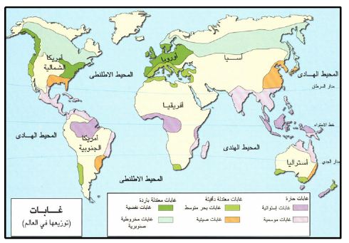 العوامل المحددة لمظهر الغابات والأنماط التي تتواجد عليها Aspd