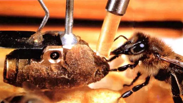 http://oloommagazine.com/images/Articles/11/SCI95b11N2_H03_004719.jpg