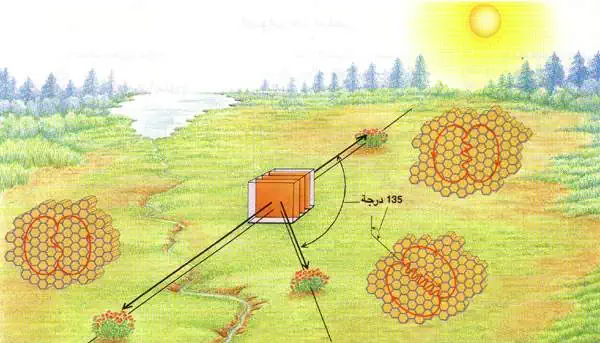http://oloommagazine.com/images/Articles/11/SCI95b11N2_H03_004721.jpg