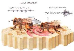 http://oloommagazine.com/images/Articles/11/SCI95b11N2_H03_004722.jpg