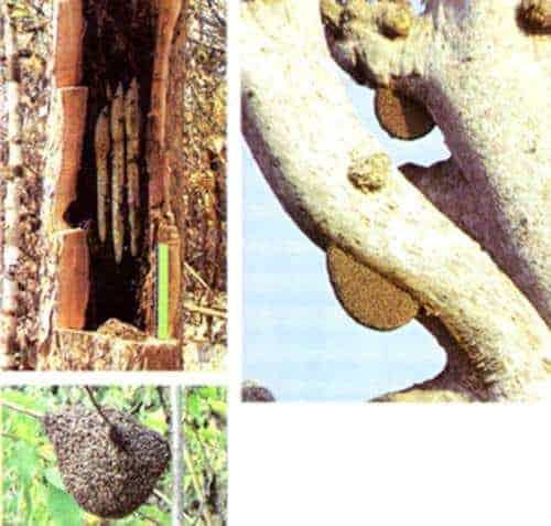 http://oloommagazine.com/images/Articles/11/SCI95b11N2_H03_004725.jpg