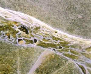 http://oloommagazine.com/images/Articles/11/SCI95b11N2_H01_004705.jpg