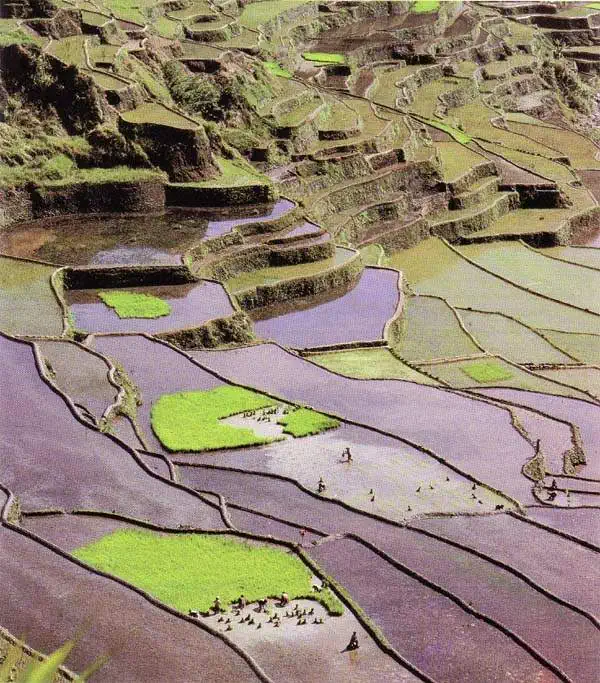http://oloommagazine.com/images/Articles/11/SCI95b11N1_H02_004588.jpg