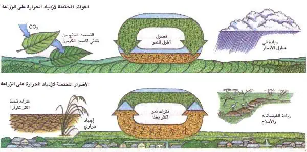http://oloommagazine.com/images/Articles/11/SCI95b11N1_H02_004590.jpg