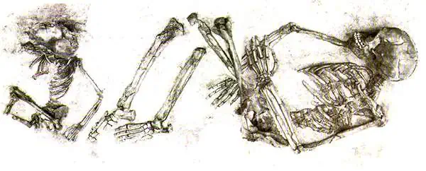 http://oloommagazine.com/images/Articles/11/SCI95b11N1_H04_004603.jpg