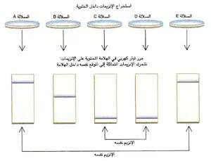 http://oloommagazine.com/images/Articles/11/SCI95b11N3_H02_004815.jpg