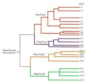 http://oloommagazine.com/images/Articles/11/SCI95b11N3_H02_004816.jpg