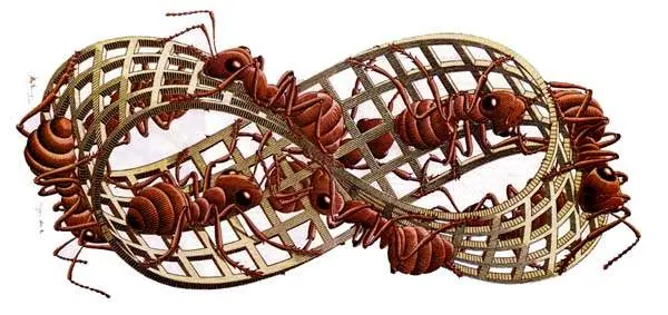 http://oloommagazine.com/images/Articles/11/SCI95b11N3_H05_004838.jpg
