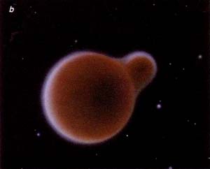 http://oloommagazine.com/images/Articles/11/SCI95b11N11_H03_004404.jpg