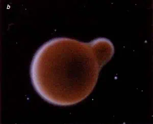 http://oloommagazine.com/images/Articles/11/SCI95b11N11_H03_004404.jpg