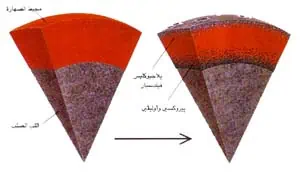 http://oloommagazine.com/images/Articles/11/SCI95b11N11_H03_004408.jpg