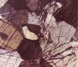 http://oloommagazine.com/images/Articles/11/SCI95b11N11_H03_004409.jpg