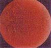 http://oloommagazine.com/images/Articles/11/SCI95b11N11_H03_004417.jpg
