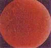 http://oloommagazine.com/images/Articles/11/SCI95b11N11_H03_004417.jpg