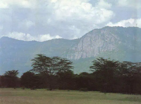 http://oloommagazine.com/images/Articles/11/SCI95b11N2_H02_004707.jpg