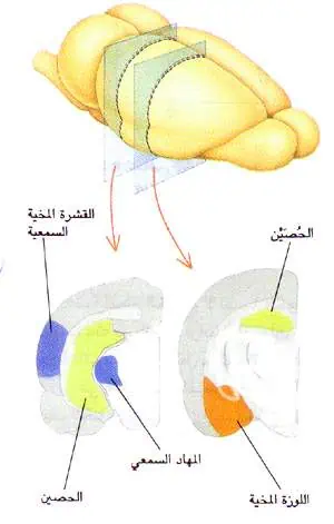 http://oloommagazine.com/images/Articles/12/SCI96b12N1_H01_005578.jpg