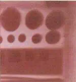 http://oloommagazine.com/images/Articles/12/SCI96b12N9_H05_006259.jpg