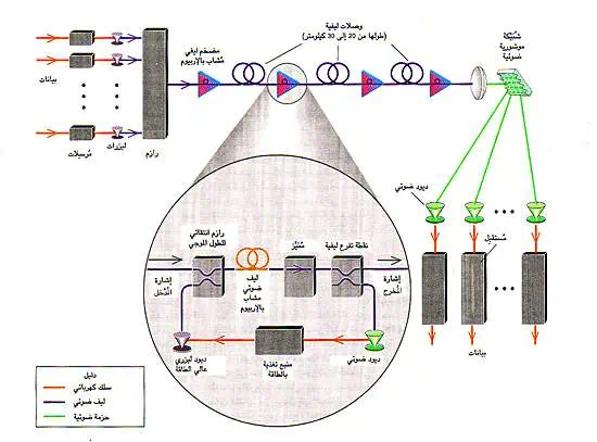 http://oloommagazine.com/images/Articles/12/SCI96b12N7-8_H05_006093.jpg