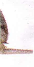 http://oloommagazine.com/images/Articles/12/SCI96b12N4_H03_005885.jpg