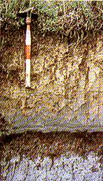 http://oloommagazine.com/images/Articles/12/SCI96b12N3_H02_005791.jpg