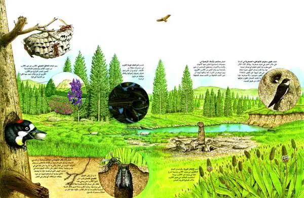 http://oloommagazine.com/images/Articles/12/SCI96b12N3_H05_005807.jpg