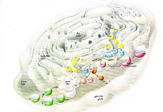 http://oloommagazine.com/images/Articles/12/SCI96b12N11-12_H04_005479.jpg