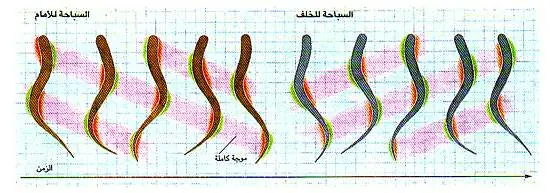 http://oloommagazine.com/images/Articles/12/SCI96b12N11-12_H03_005474.jpg