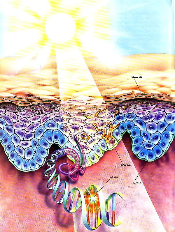 http://oloommagazine.com/images/Articles/12/SCI96b12N11-12_H02_005467.jpg
