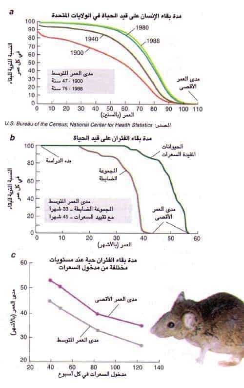 http://oloommagazine.com/images/Articles/12/SCI96b12N4_H03_005886.jpg