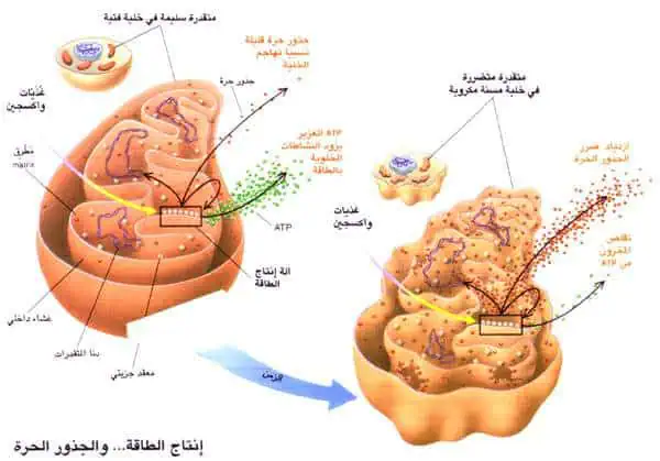 http://oloommagazine.com/images/Articles/12/SCI96b12N4_H03_005887.jpg