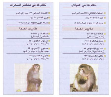 http://oloommagazine.com/images/Articles/12/SCI96b12N4_H03_005889.jpg