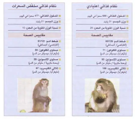 http://oloommagazine.com/images/Articles/12/SCI96b12N4_H03_005889.jpg