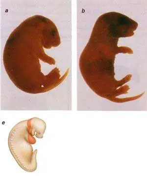 http://oloommagazine.com/images/Articles/12/SCI96b12N2_H03_005716.jpg