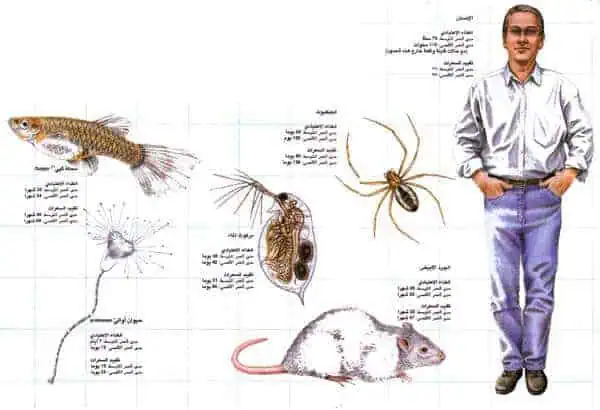 http://oloommagazine.com/images/Articles/12/SCI96b12N4_H03_005883.jpg