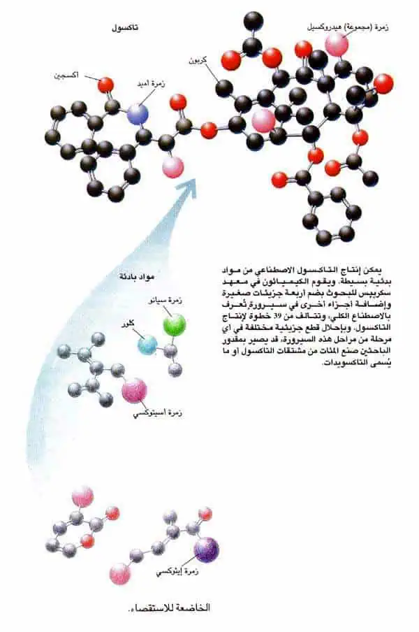 http://oloommagazine.com/images/Articles/13/SCI97b13N2_H03_006703.jpg