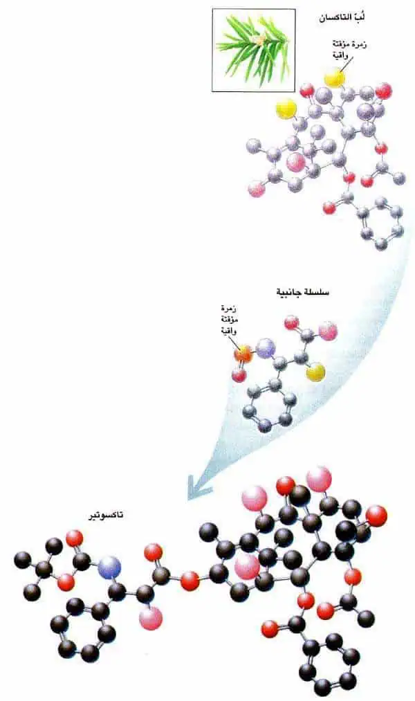 http://oloommagazine.com/images/Articles/13/SCI97b13N2_H03_006704.jpg